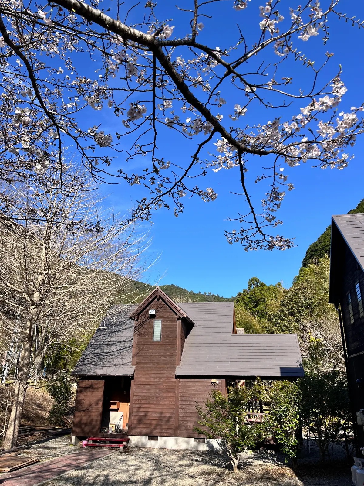 【和歌山】夏満喫間違いなし！”大自然で整の画像_8