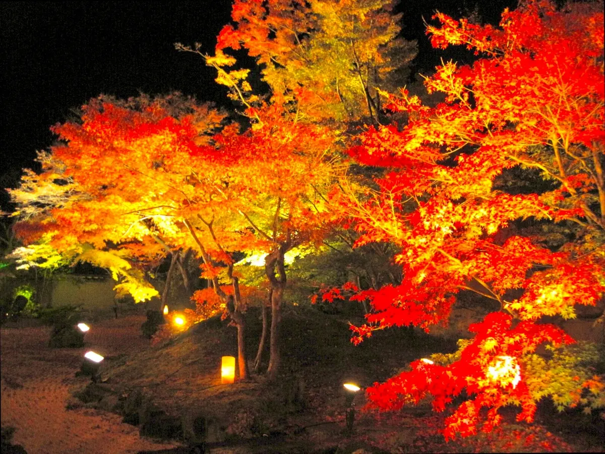 紅葉　円通院　松島