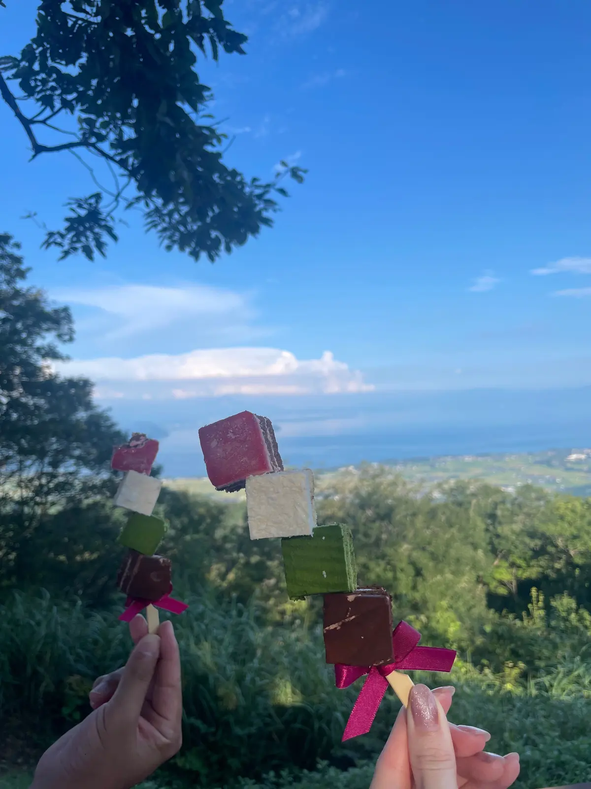 【びわこ箱館山】大迫力！虹のカーテン🌈の画像_10