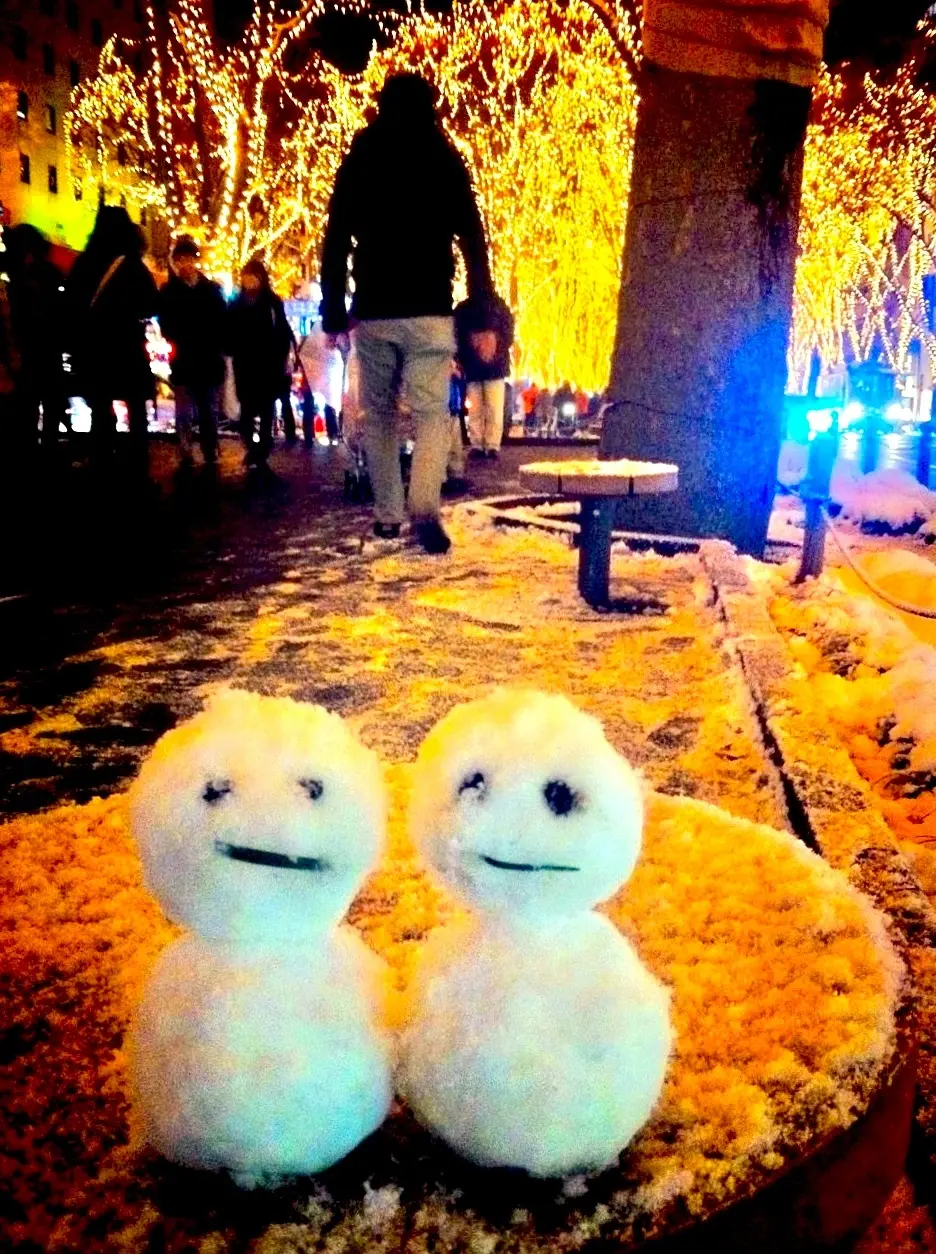 SENDAI光のページェント　定禅寺通