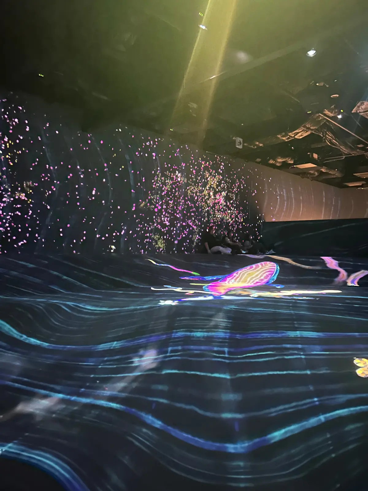 チームラボフォレスト 福岡🌱混雑状況や、の画像_2