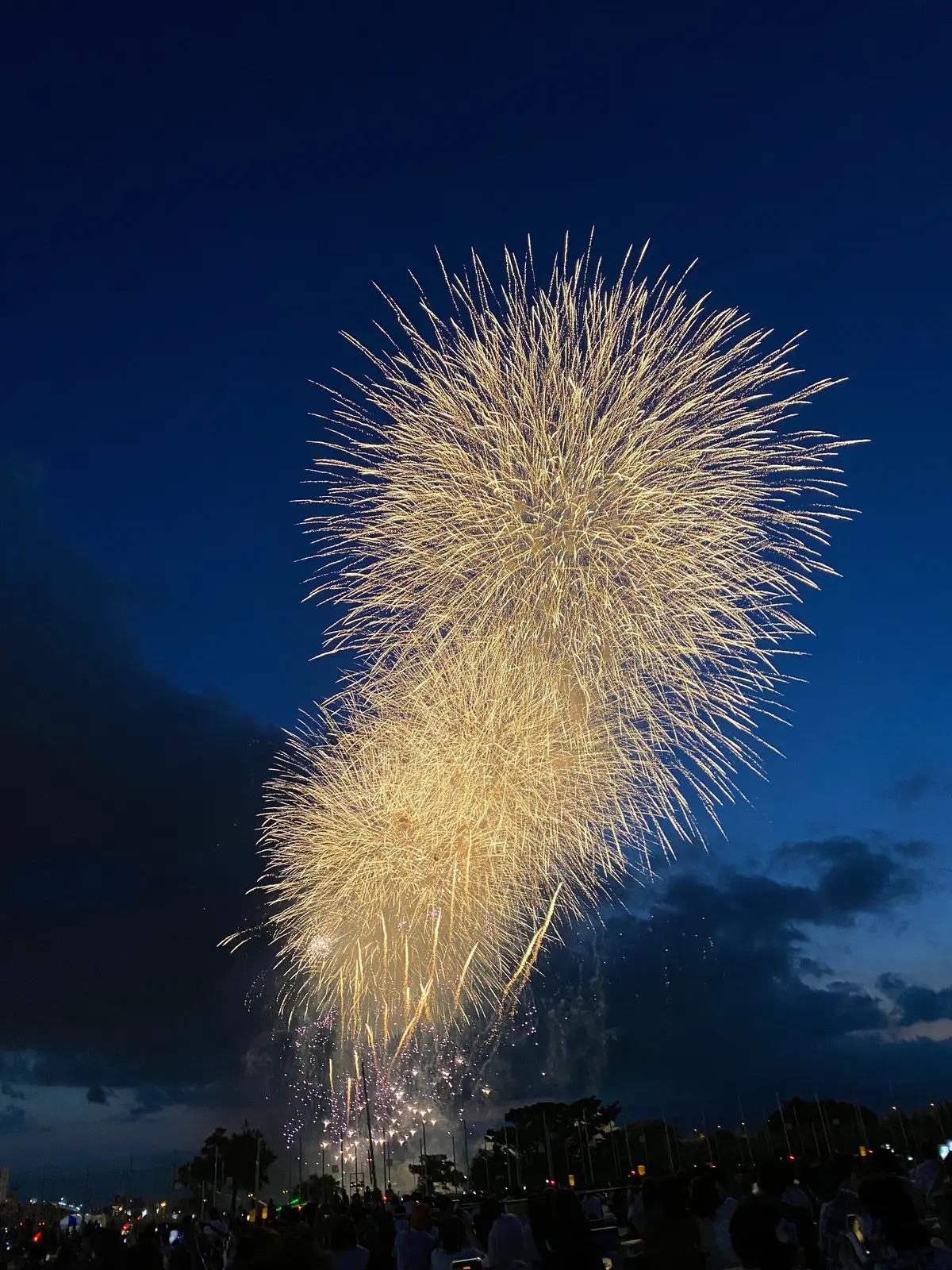 【東京花火大会2023】「足立の花火」のの画像_1