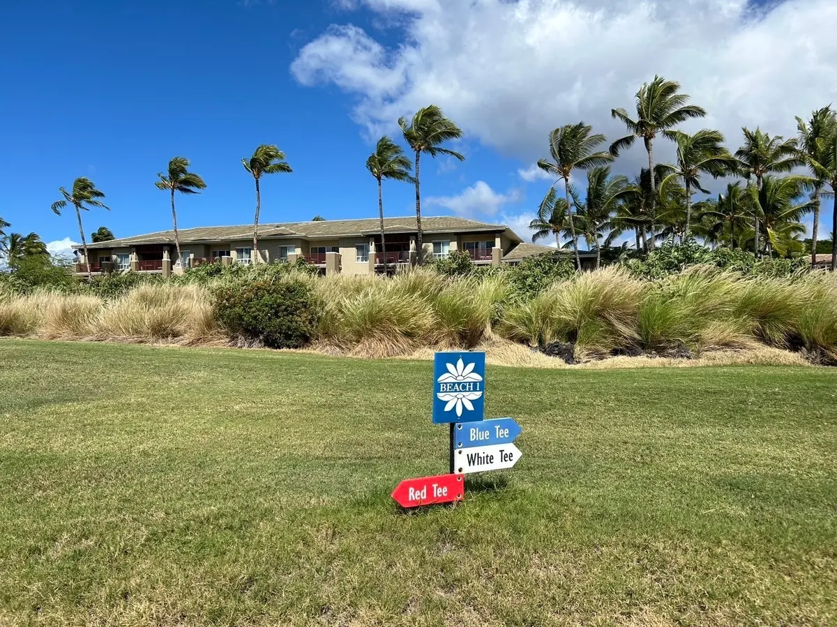 【ハワイ島⛳️ゴルフ】ワイコロアビーチリの画像_1