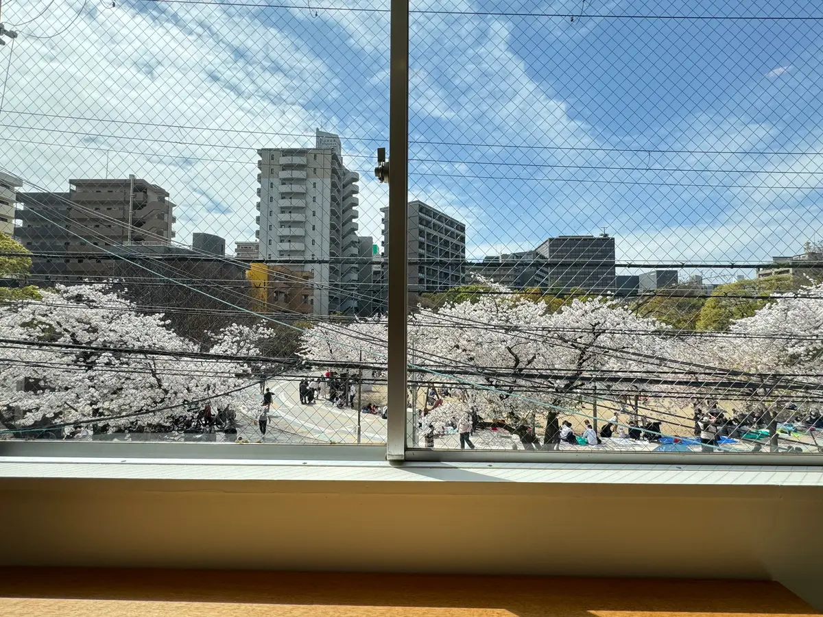 trip room 窓からの景色　お花見カフェ　桜の見えるカフェ