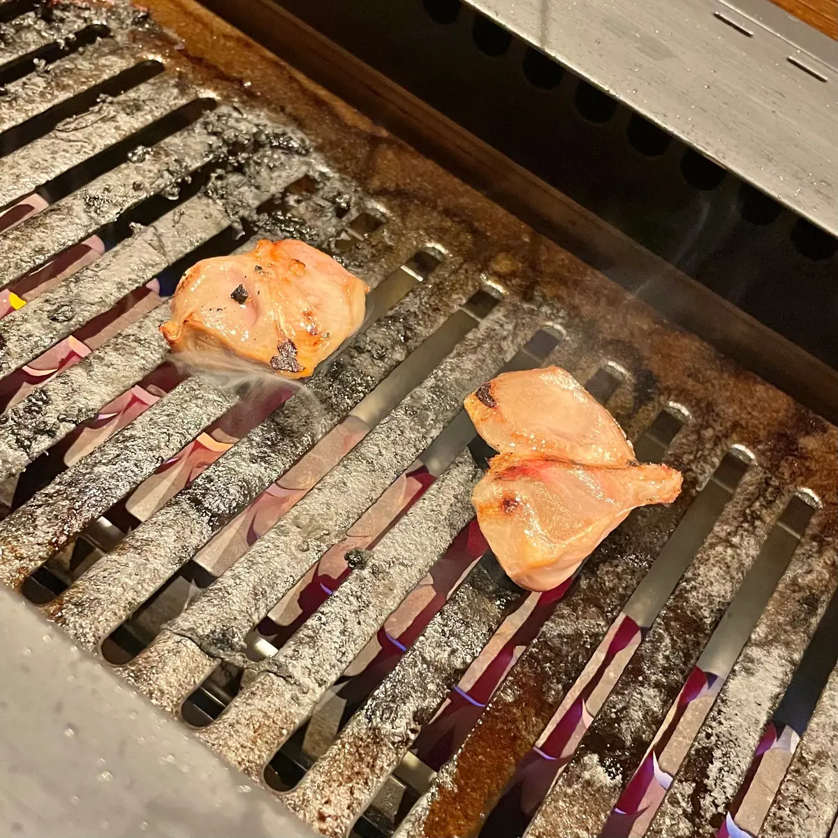 東京・六本木駅、乃木坂駅から歩いて5分のオリジナル地鶏が楽しめる「鶏焼き肉 囲」の「季節の囲コース」