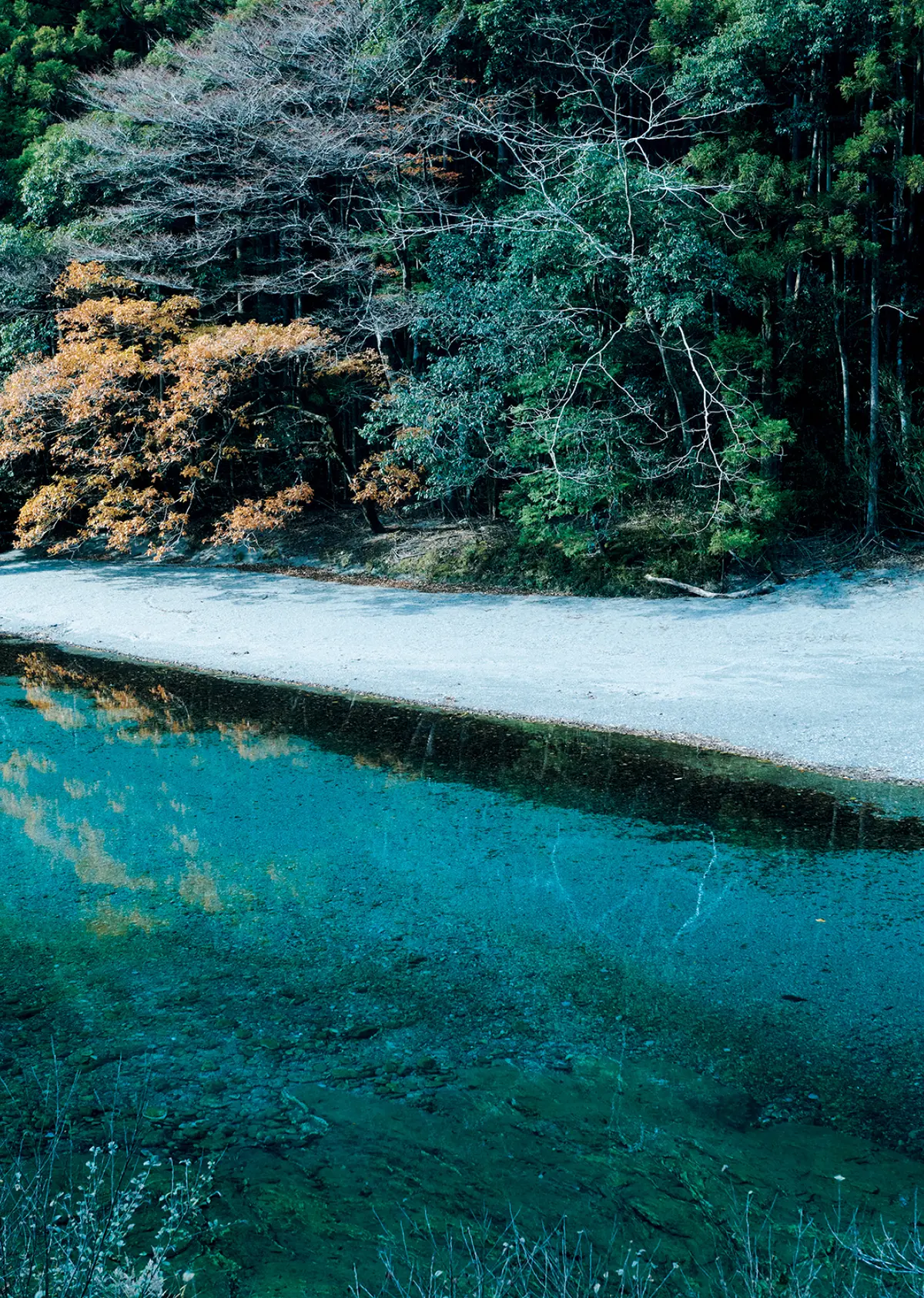 汗見（あせみ）川の風景
