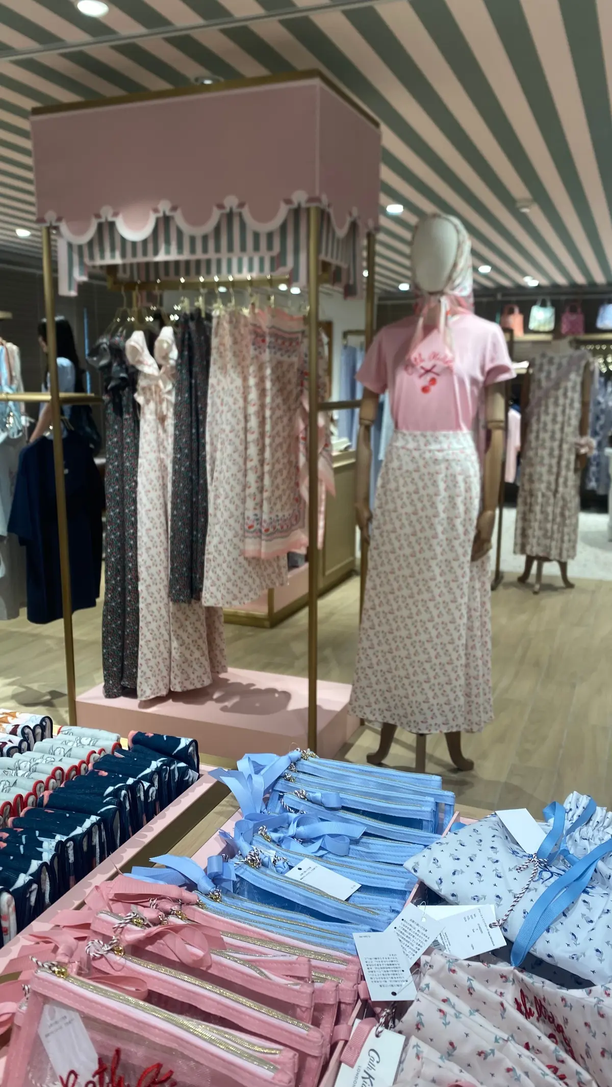 【日常】キットソン、アサイー、最近のプラの画像_4