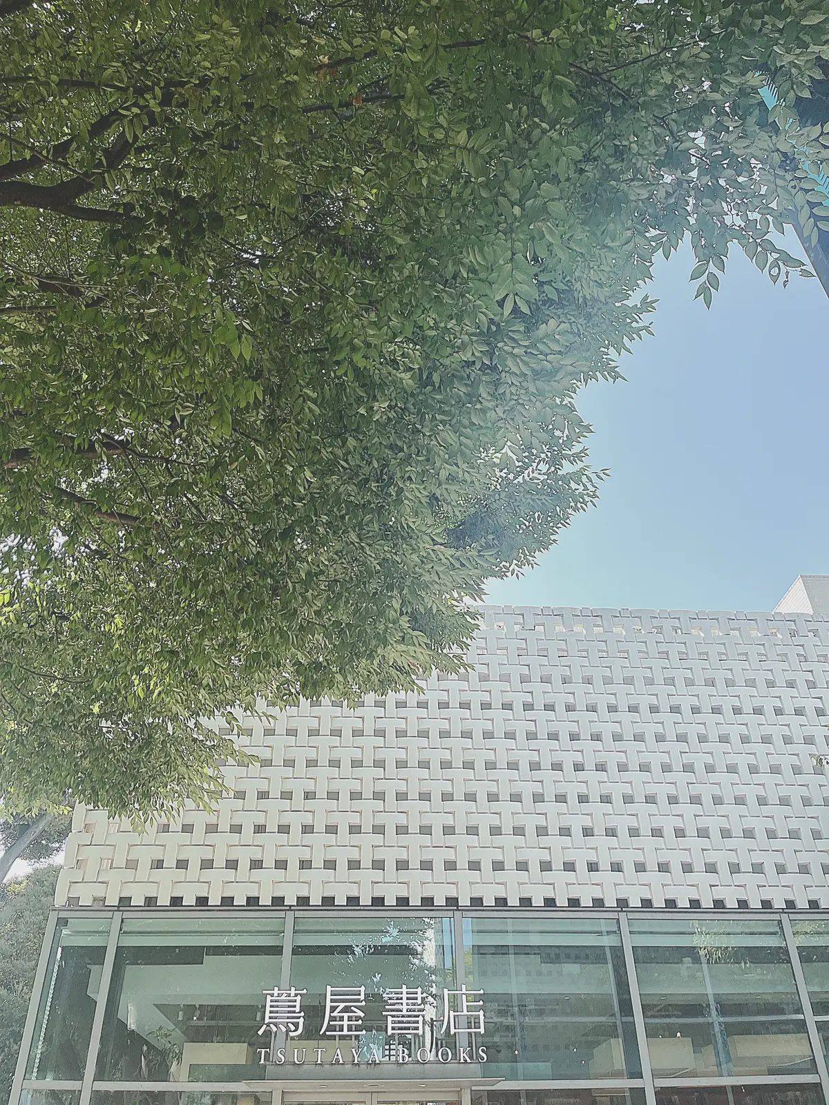 【代官山】知と感性を磨く秋｜代官山蔦屋書の画像_1