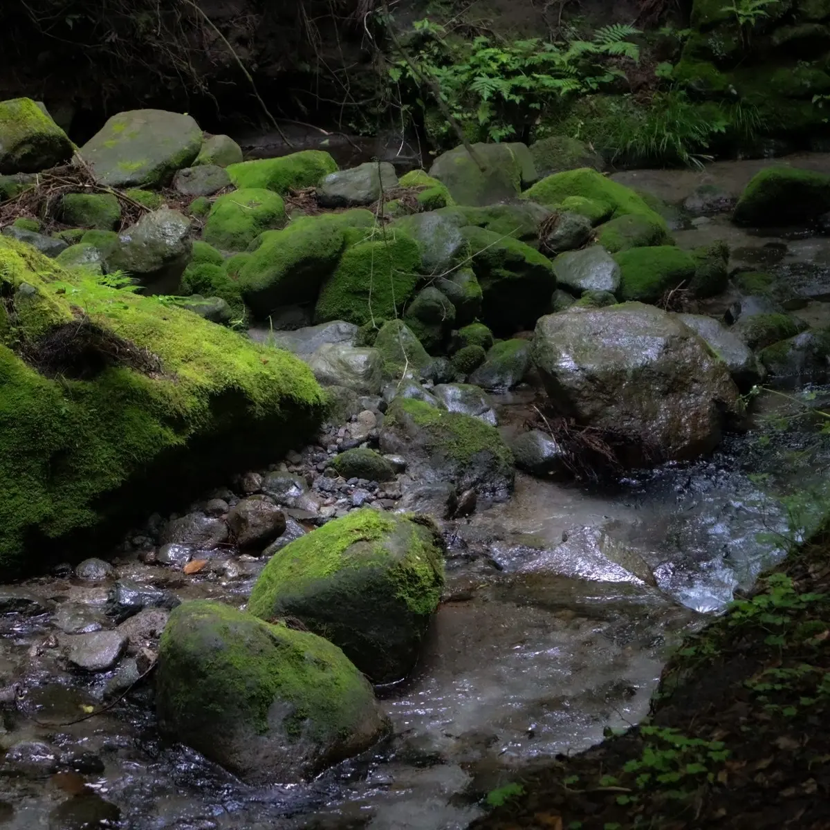 【熊本】47都道府県制覇した私がオススメの画像_4