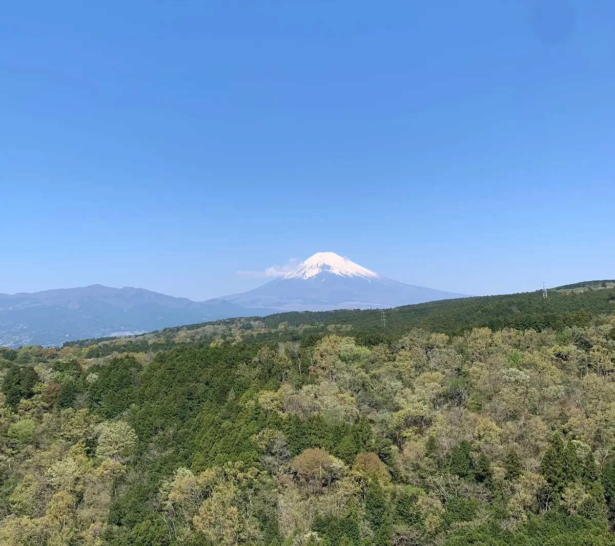 【静岡　箱根】カップルでも家族でも！夏休の画像_1