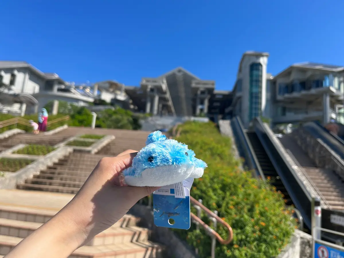 【沖縄】完全ガイド！沖縄美ら海水族館の魅の画像_21