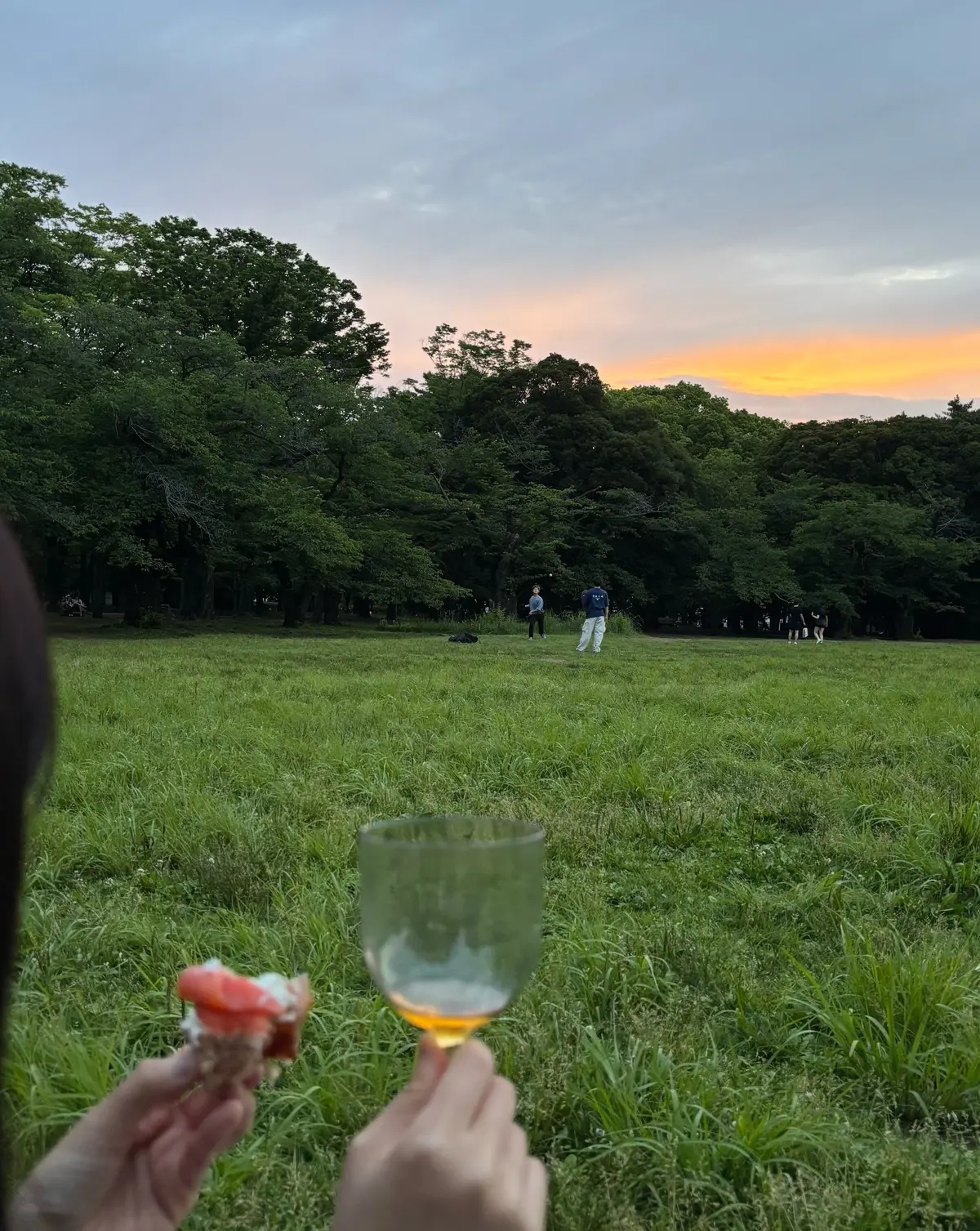 これからの季節にナイトピクニックのすすめの画像_2