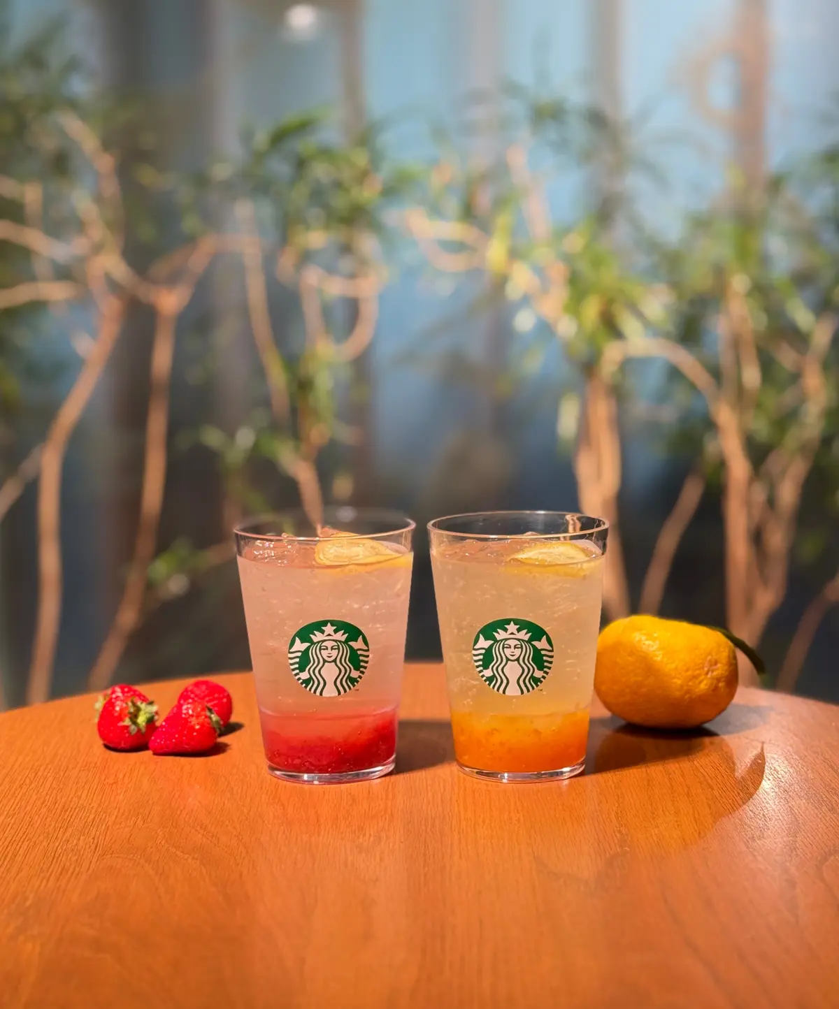 スタバフルーツの贅沢感とシトラスの香りがひろがる