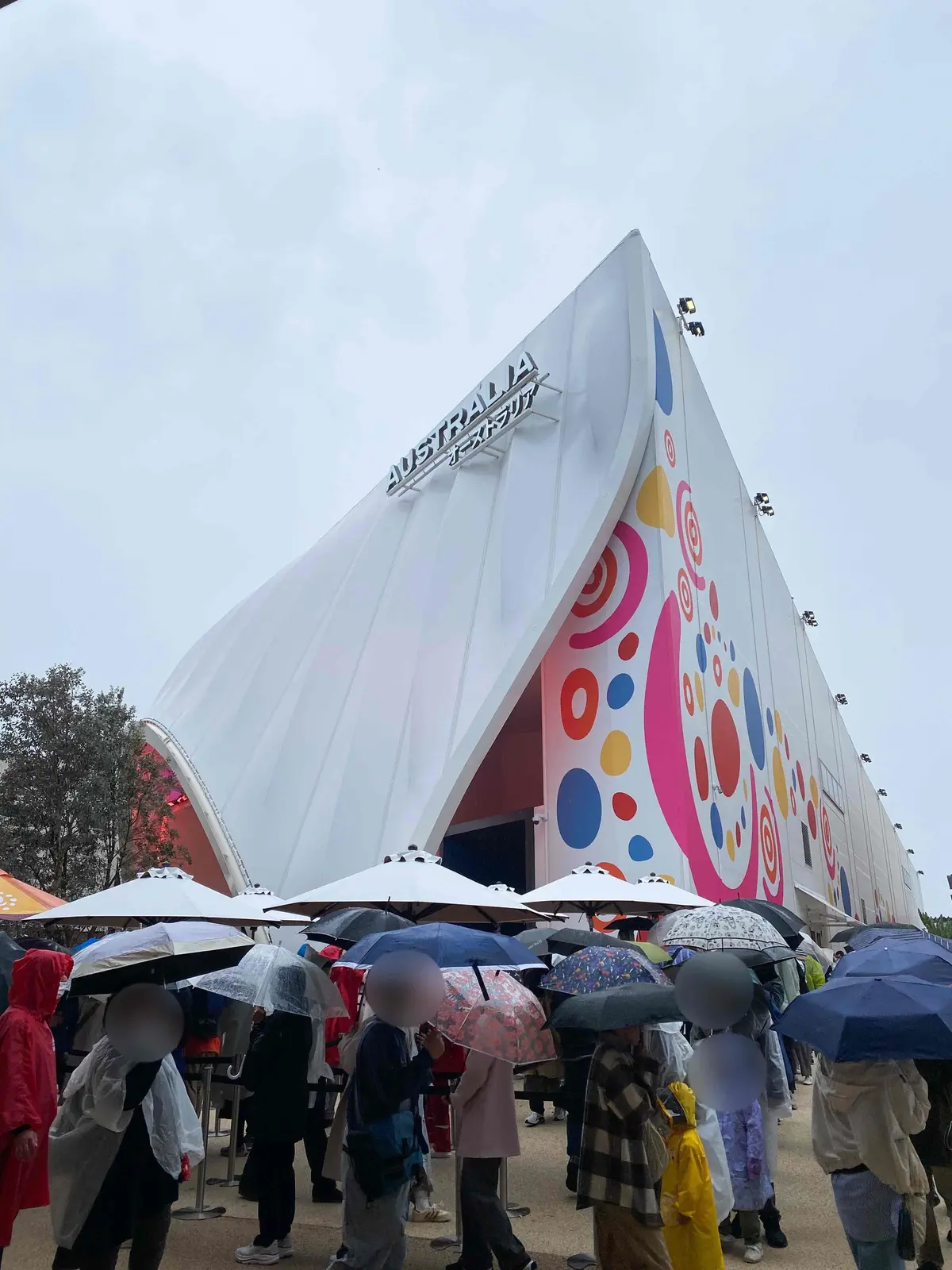 【大阪・関西万博2025】コアラが眠りユの画像_3