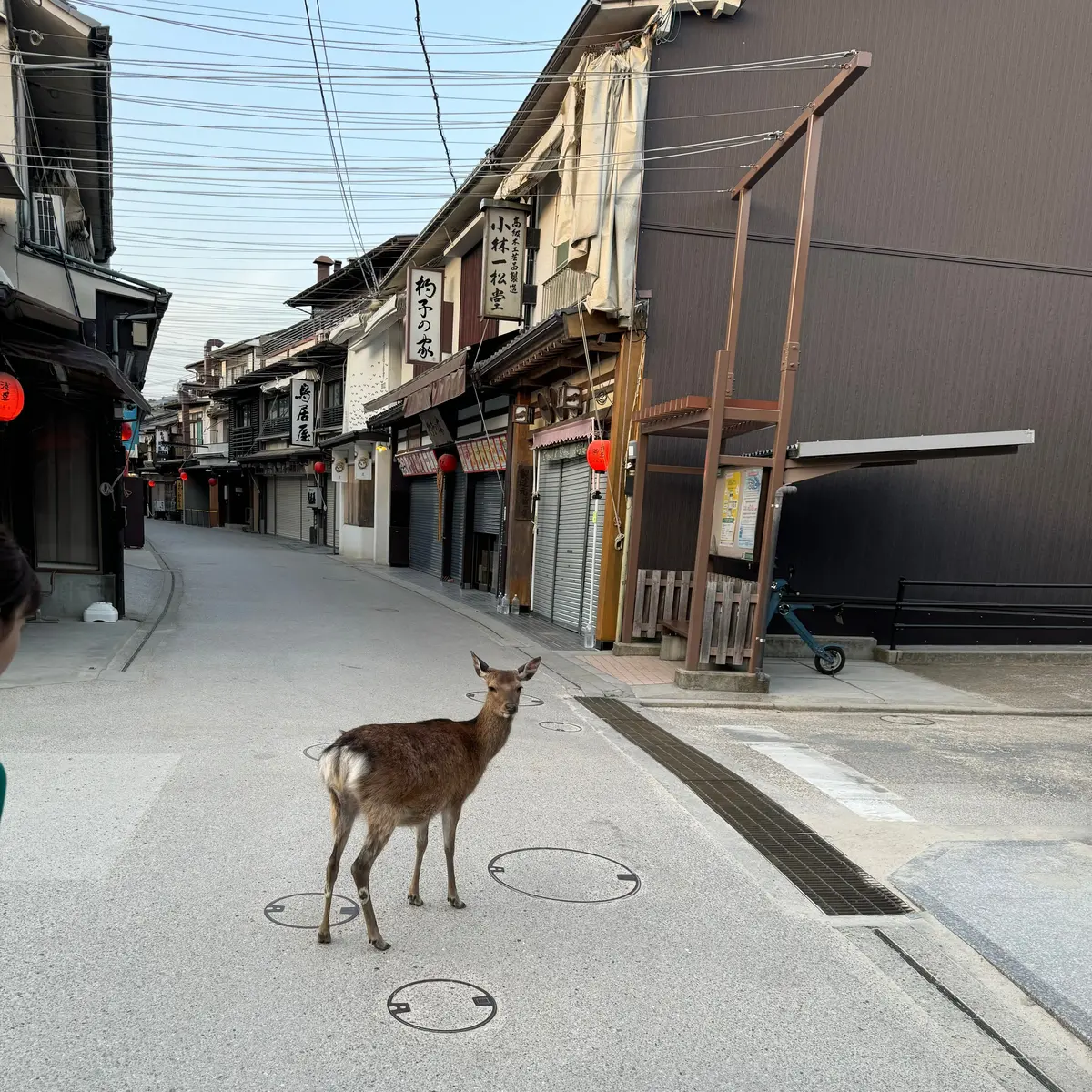 【岡山・広島】超オススメ！2泊3日でメイの画像_9