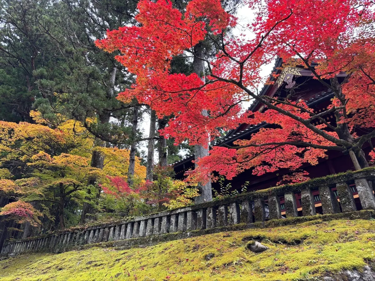 日光　紅葉　華厳の滝　MOREJAPAN