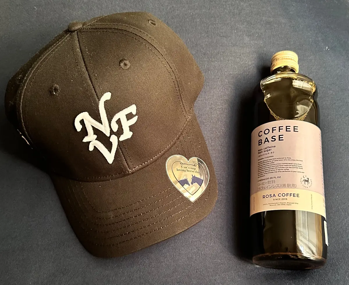 【金沢】モデルの紗栄子さんが代表を務めるの画像_3