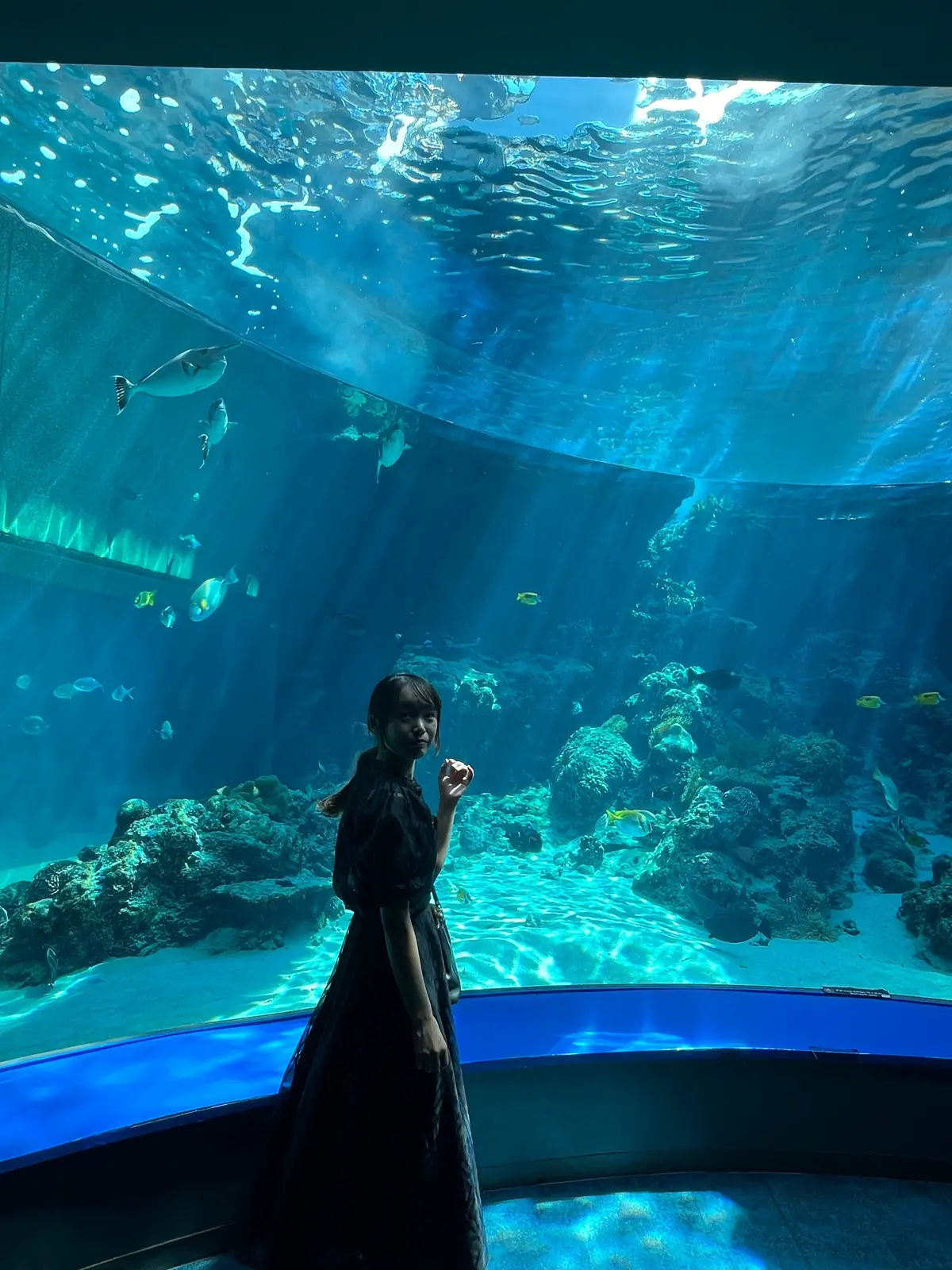 水族館内　水槽前の写真