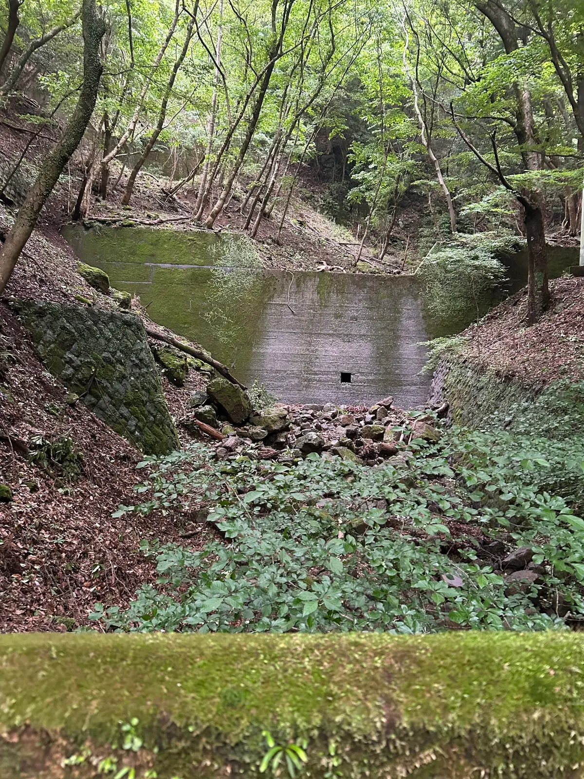 大山阿夫利神社途中の道