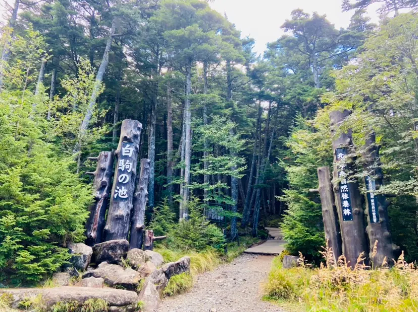 【長野】これがリアル“ジブリの世界