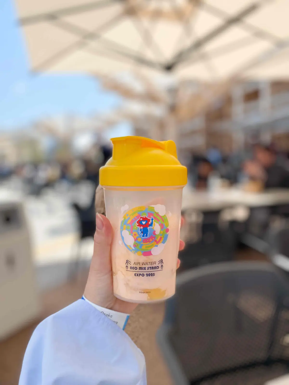 【大阪・関西万博2025】コアラが眠りユの画像_30