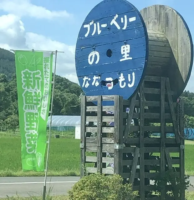 【岩手県】女子旅やご家族で!特大ブルーベの画像_1