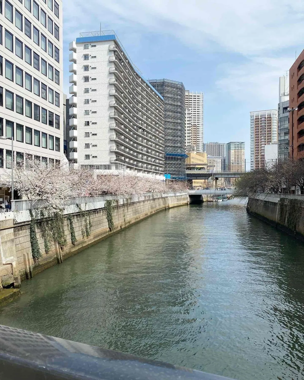 東京のお出かけスポット&グルメ情報満載【の画像_3