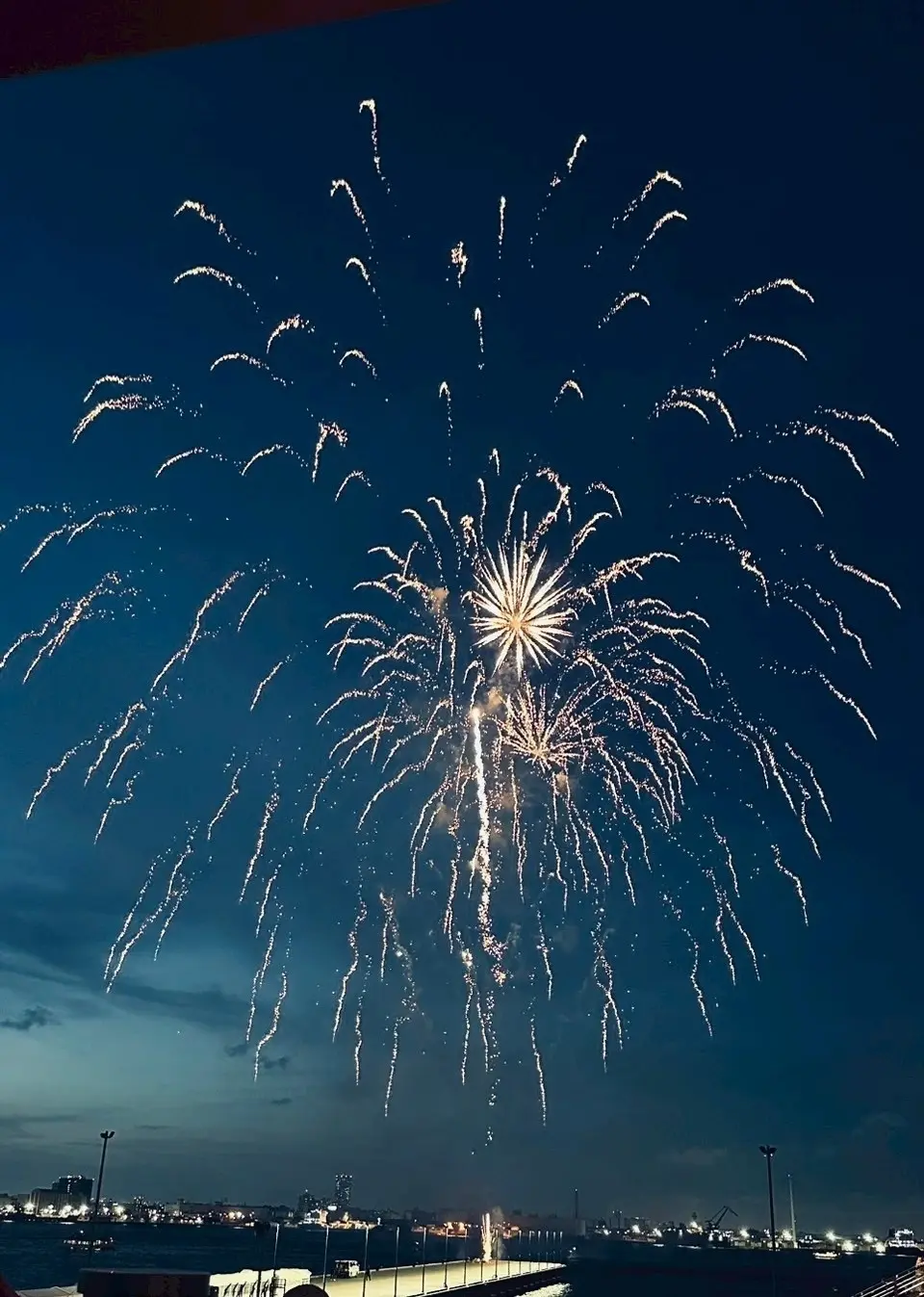 【横浜|紫陽花】6/29まで！今が旬の紫の画像_7