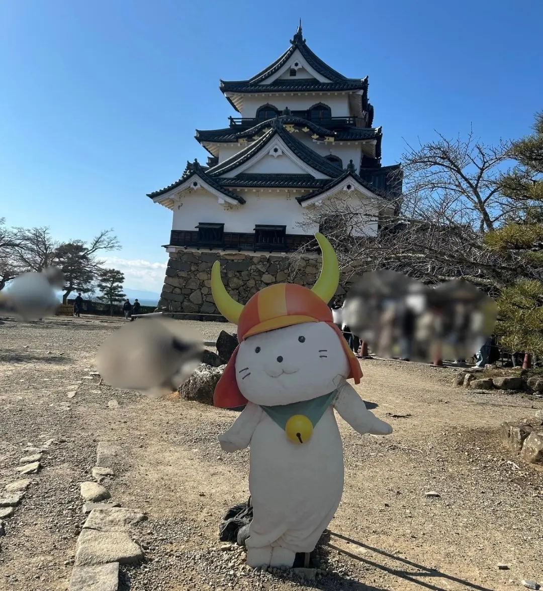 【ひこにゃん】彦根城に行って、″ひこにゃの画像_5