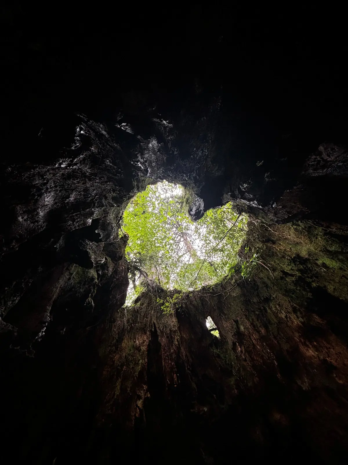 2色の海が楽しめる！？鹿児島県の離島めぐの画像_8