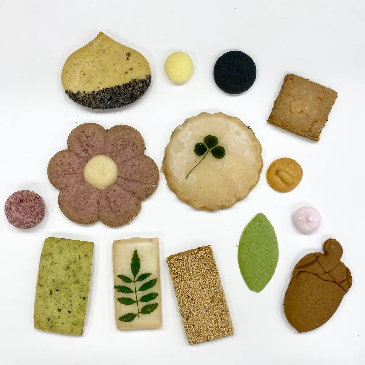 『ジブリパーク』「ジブリの大倉庫」冒険飛行団で買えるおすすめお土産：銀の森コラボ ジブリパークオリジナルクッキークッキー