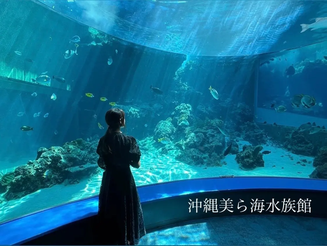 沖縄】完全ガイド！沖縄美ら海水族館の魅力や見どころを徹底解説！ | MORE