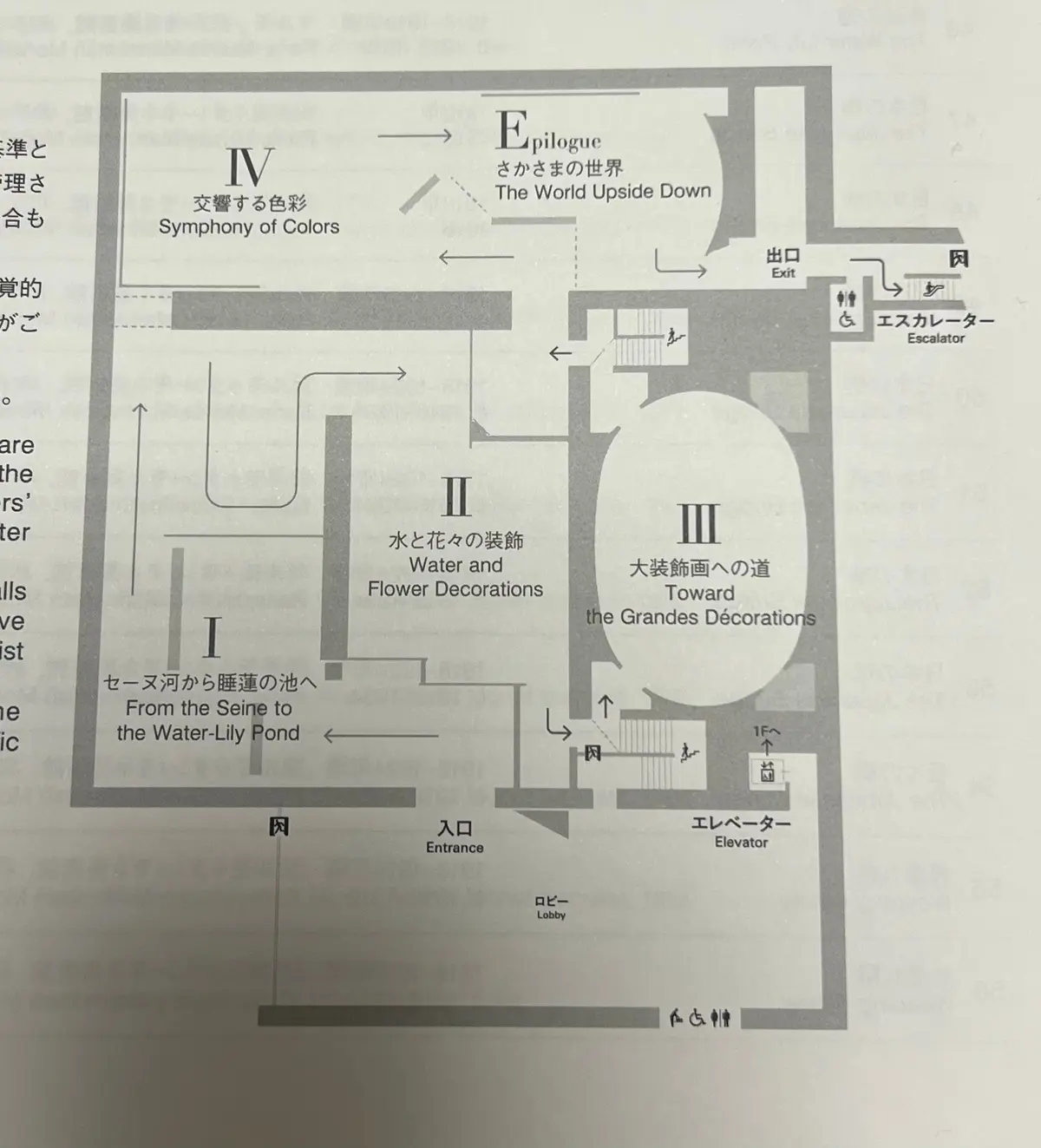 モネの睡蓮に囲まれる🪷国立西洋美術館『モの画像_5