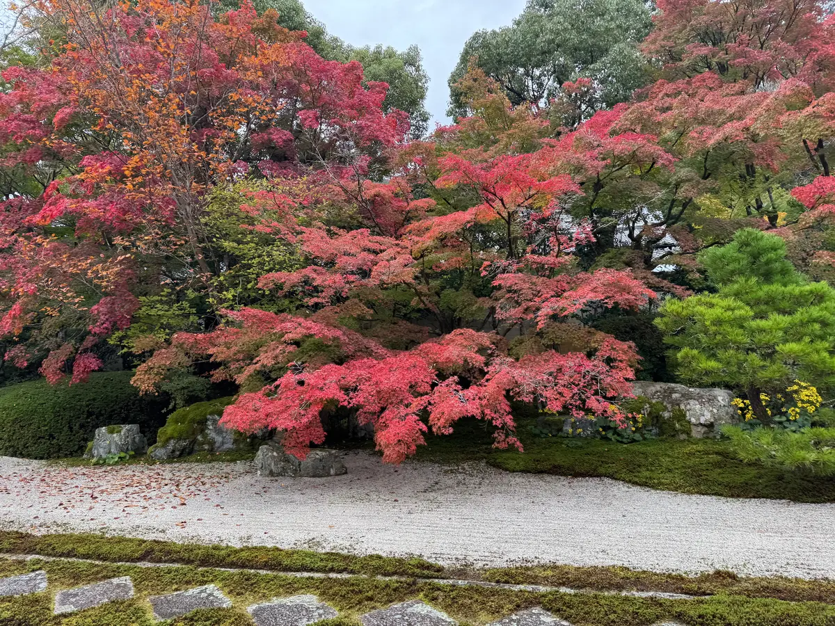 南禅寺天寿庵　紅葉　京都紅葉　南禅寺紅葉