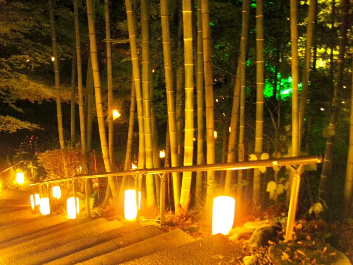 紅葉　円通院　松島