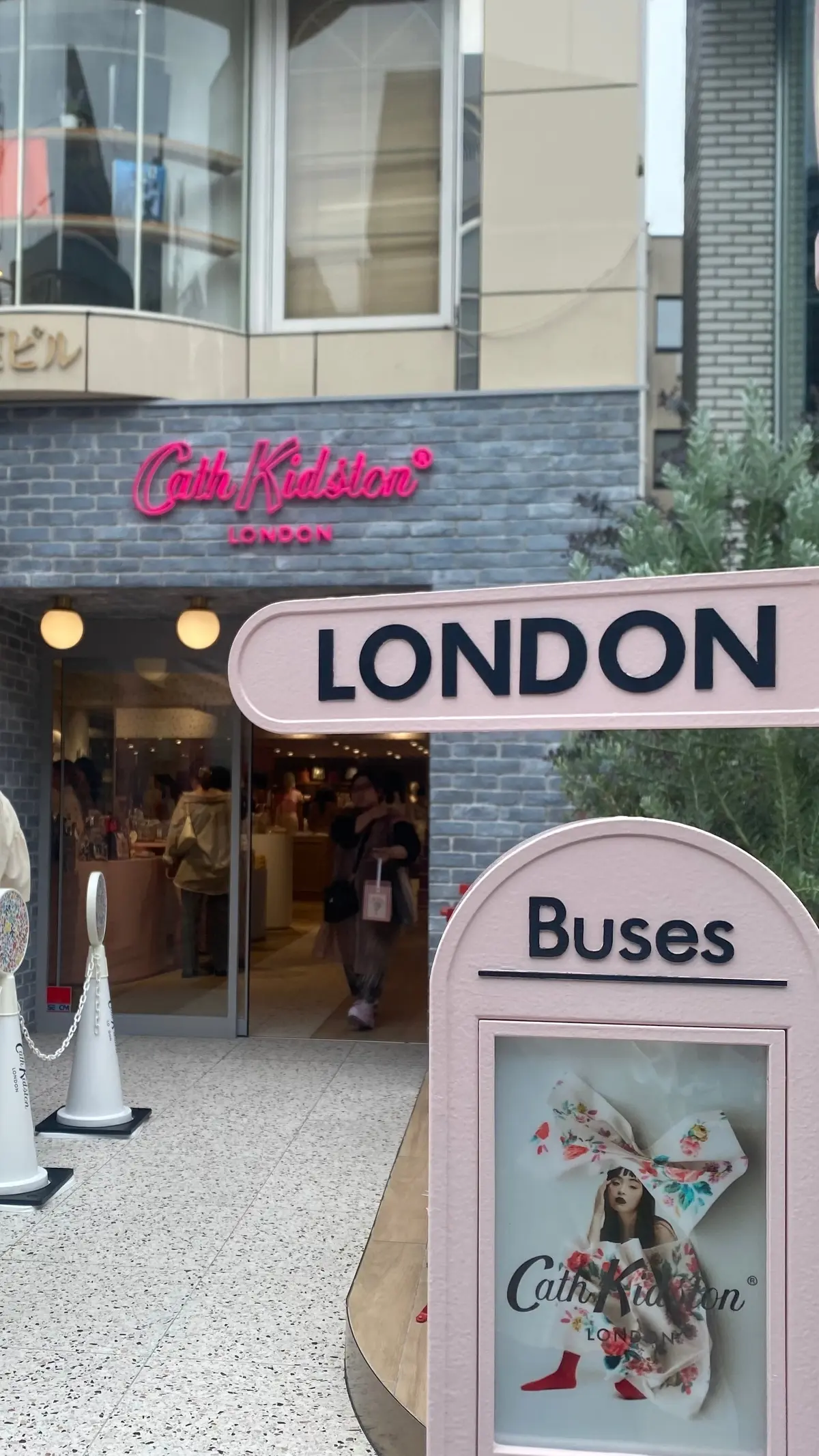 【日常】キットソン、アサイー、最近のプラの画像_3