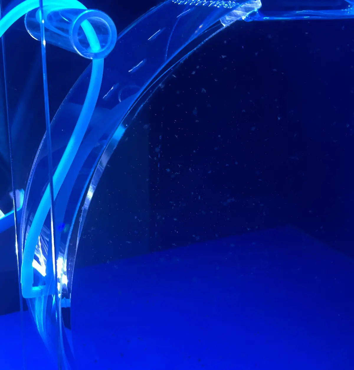 京都｜【昨日生まれたの！？】生後1日のクの画像_3