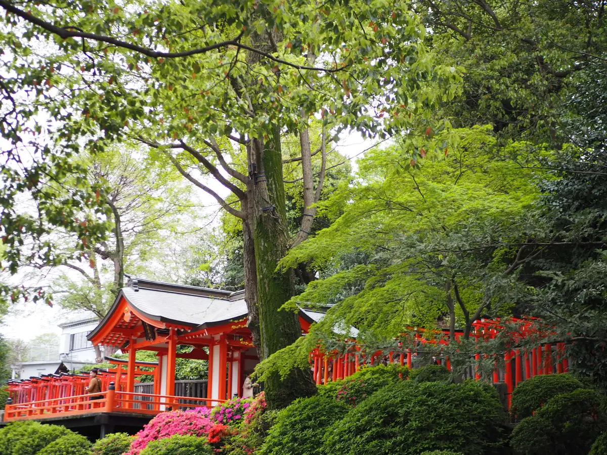 ピンク×緑×鳥居の絶景！今月のお出かけはの画像_4