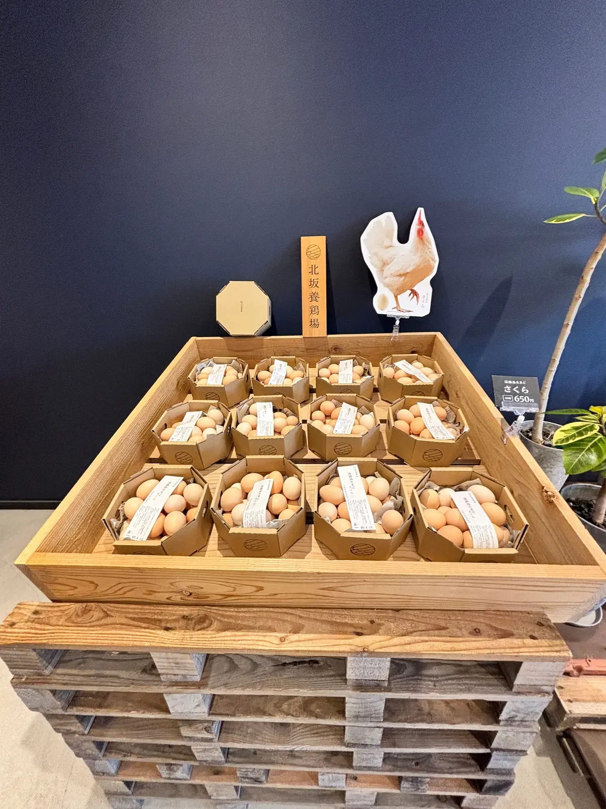 【兵庫県｜淡路島】迷ったらここ！お土産＆の画像_4