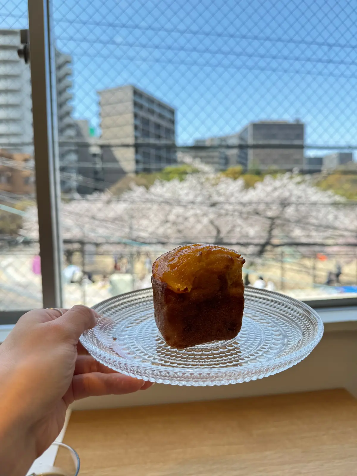 オレンジケーキ越しの桜