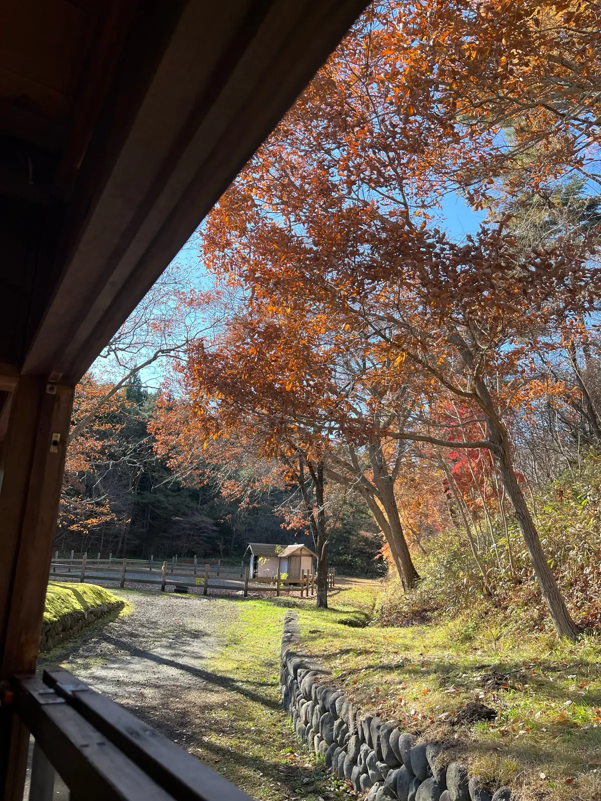 【青森】青森屋解説〈後編〉一度は行ってみの画像_12