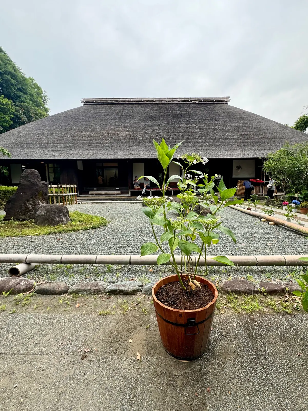 あしがり郷屋敷