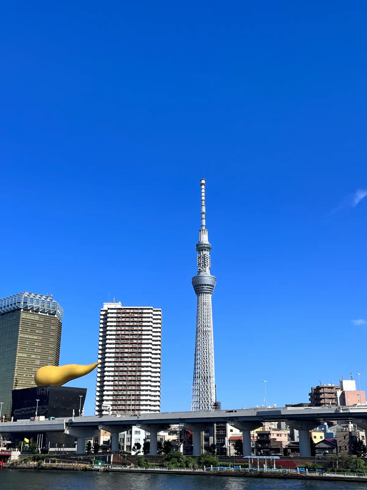 【浅草】濃厚で上質な抹茶を堪能するならコの画像_6