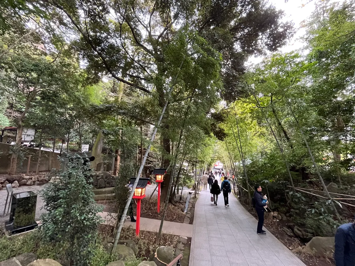 【静岡】熱海のパワースポット来宮神社˚✧の画像_5