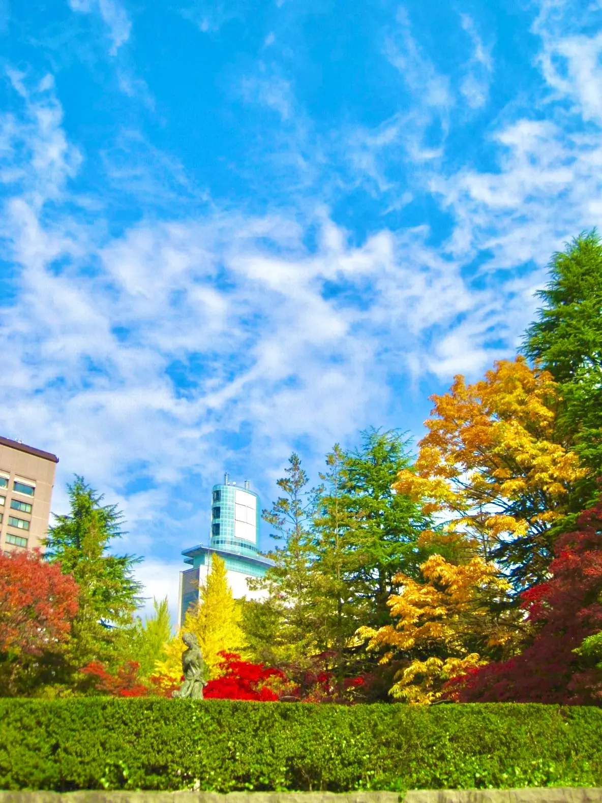 紅葉　勾当台公園