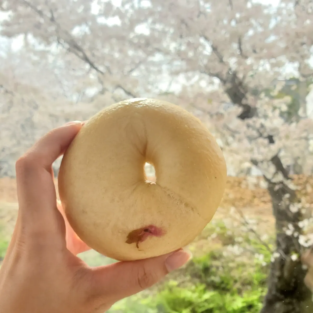 【関西・兵庫】焼きたてが食べられる生ベーの画像_2