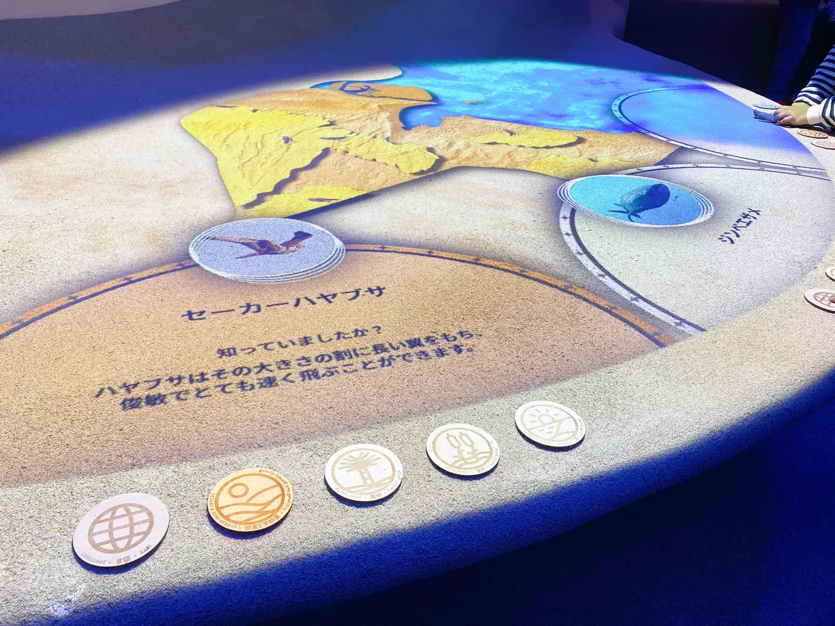 【大阪｜万博2025】現地の砂が触れる！の画像_11