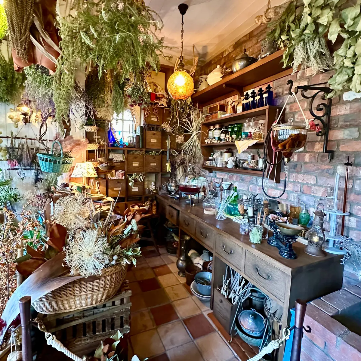 『ジブリパーク』「魔女の谷」の「オキノ邸」内の魔女の店 実験用キッチン