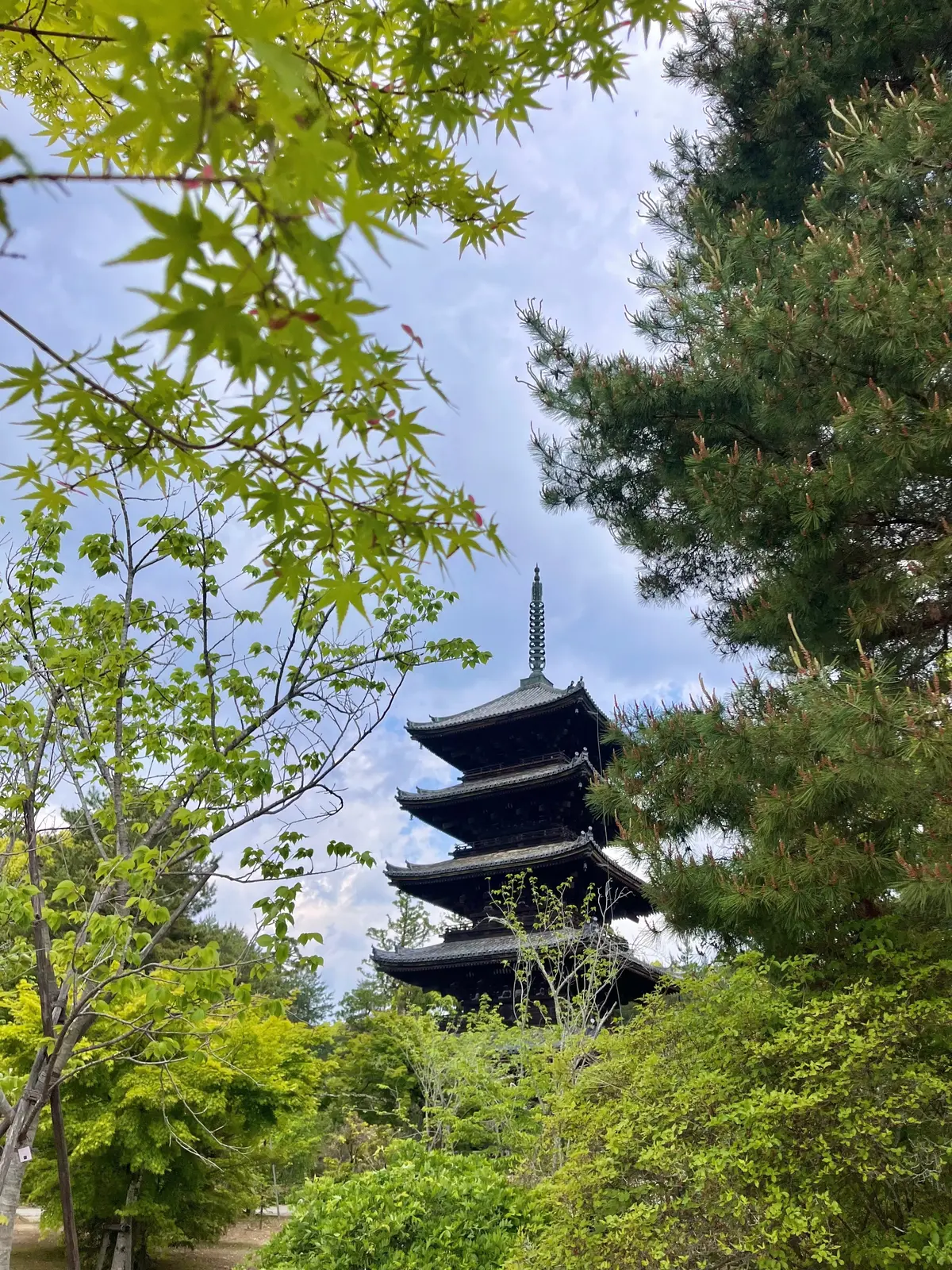 《ご挨拶》Reikaです☺︎第6期もよろの画像_7