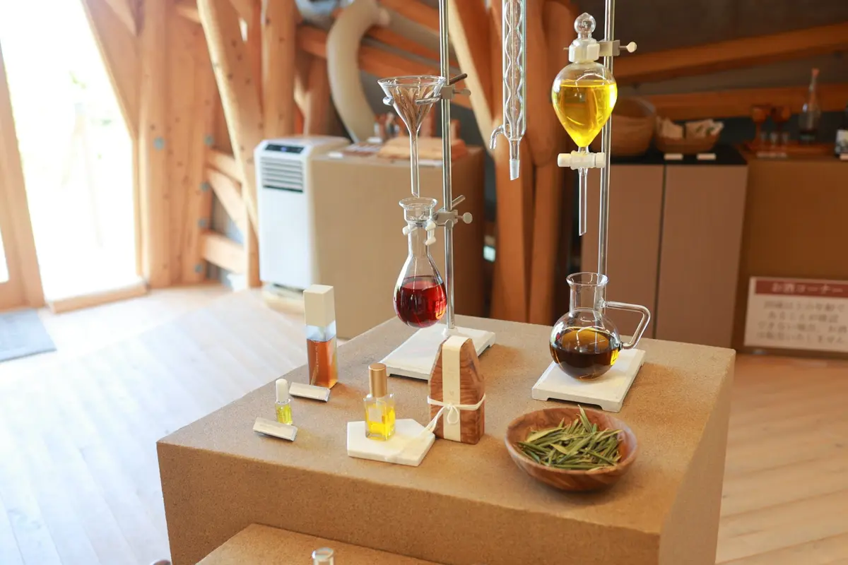 夏旅におすすめ！ウェルネスな仕掛けたっぷの画像_17